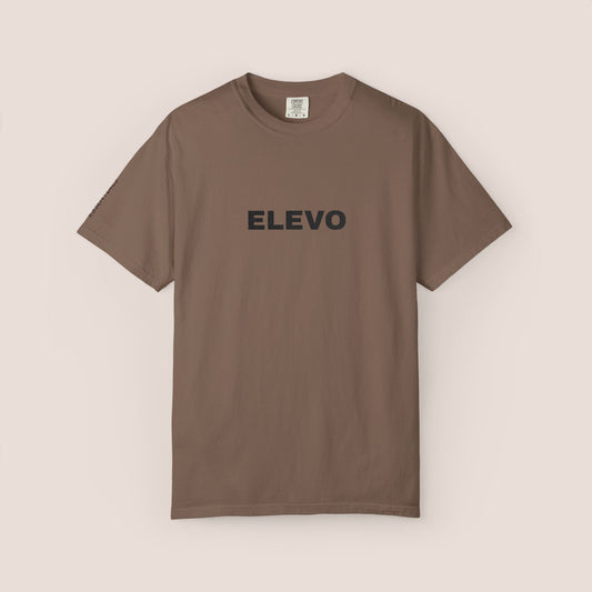 Embroidered T-shirt