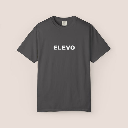 Embroidered T-shirt